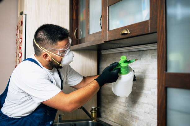 Reliable Duncan, OK Pest Control Solutions