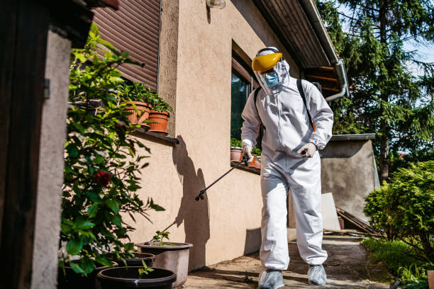 Best Commercial Pest Control Services  in Duncan, OK
