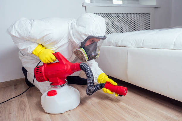 Best Best Pest Control Companies  in Duncan, OK
