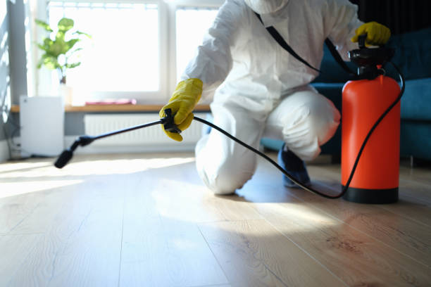 Flea Control Services in Duncan, OK