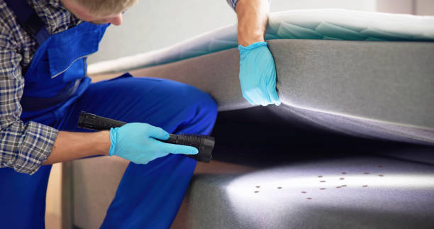 Best Pest Inspection Near Me  in Duncan, OK
